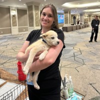 Colorado Judicial Branch Employee Kelly-Ann Korosi's profile photo
