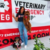 Veterinary Emergency Group Employee Liane Merritt's profile photo