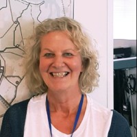 Lieneke Hoeksema Email