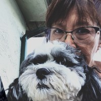 Sheila Perry Email & Phone Number