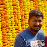 Nirav Raj Email
