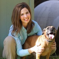 Lap of Love Veterinary Hospice Employee Amanda Page's profile photo