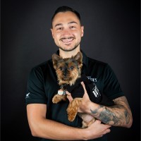 The Butcher's Pup Employee Michael Leone's profile photo
