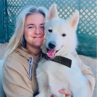 Dogs 24/7 LLC Employee Katelyn Weber's profile photo