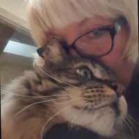 F&D Scene Changes Ltd. Employee Dana Schnirer's profile photo