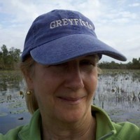 City of Tybee Island Employee Cathy Sakas's profile photo