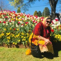 Syeda Hossain Email