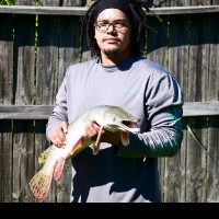 David Perez Email & Phone Number