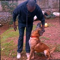 PINNACLE SECURITY LTD Employee Ocen Robert's profile photo