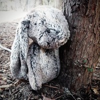 Dan Bornstein Email & Phone Number