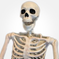 Wave7 LLC Employee Derek Edgar's profile photo