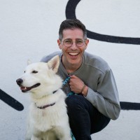 Wags & Walks Employee Eitan Nir's profile photo