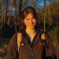 Carlijn Koole Email