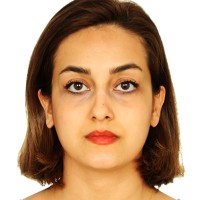 Mona Saeida Email