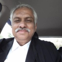 Lexiopt Employee Rajeev Nanda's profile photo