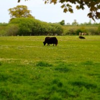 VERTIKOM Group Employee Max iner's profile photo