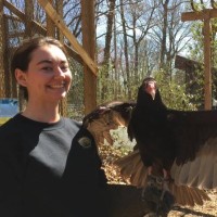 Melissa Eldridge Email & Phone Number