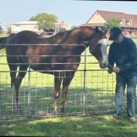 Donald Robinson Email & Phone Number