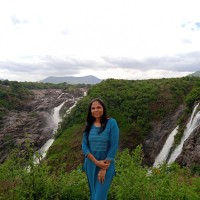 Chitra Marickkani Email & Phone Number