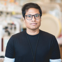 Anindya Roy