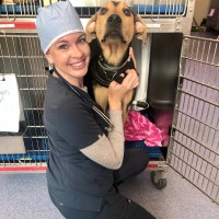 Veterinary Medical Center at Lakewood Ranch Employee Kari Schultz's profile photo