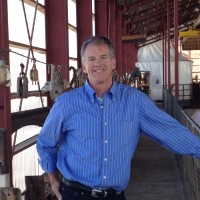 David Young Email