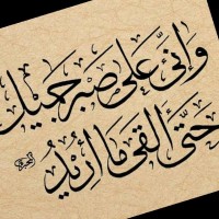 هشام Abouelseoud Email