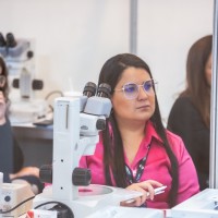 Stella Oliveira Email