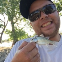 IndeeLift Employee Jay Powell's profile photo