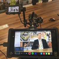 FigBytes Inc. Employee Andrew Whitehead's profile photo