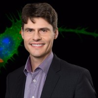 Dirk Brockstedt Email & Phone Number