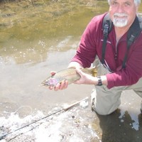 US EPA Employee Michael McGown's profile photo