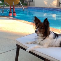 Stayhealthy Employee John Collins's profile photo