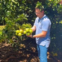 Tulio Marques Panccioni Email