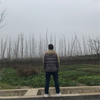 Tao Lv Email
