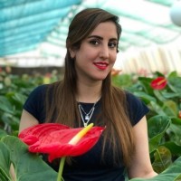 Trolex Employee Fahime Nikseresht's profile photo