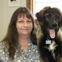 Suffolk Animal Hospital Employee Pamela Nix's profile photo