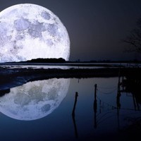 Baber's, INC Employee Grady Chappell's profile photo