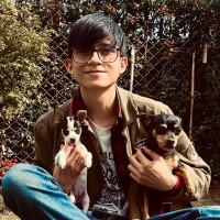 PIBOCO Employee Hernan Camilo Quintero Figueroa's profile photo