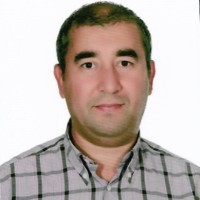 Fatih Yilmaz Email