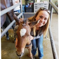 Broadway Animal Hospital Employee Emily Bloom's profile photo