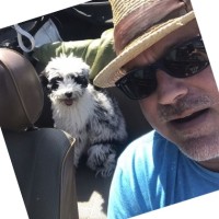BioBag Sverige Employee Mark Williams's profile photo