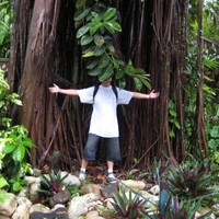 Glenn Carpentry Email
