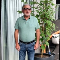 ICOGNITION Employee Dom Mammoliti's profile photo