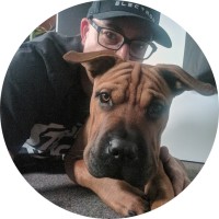 Play Distribution Employee Graeme Howard's profile photo