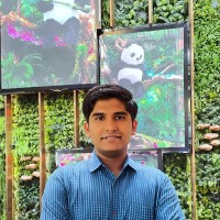Ashish Jha's profile photo