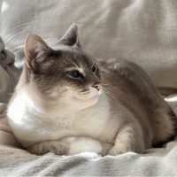 Microsoft Employee Charles Torre's profile photo