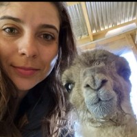 MINERA SUD ARGENTINA S.A. Employee Paula Rocha's profile photo