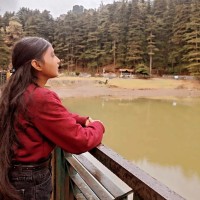 Anshita Choudhary Email