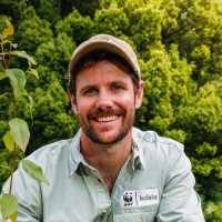 Koala® Employee Dany Milham's profile photo